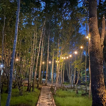 Boker Tov Pucon Hotel Eksteriør billede