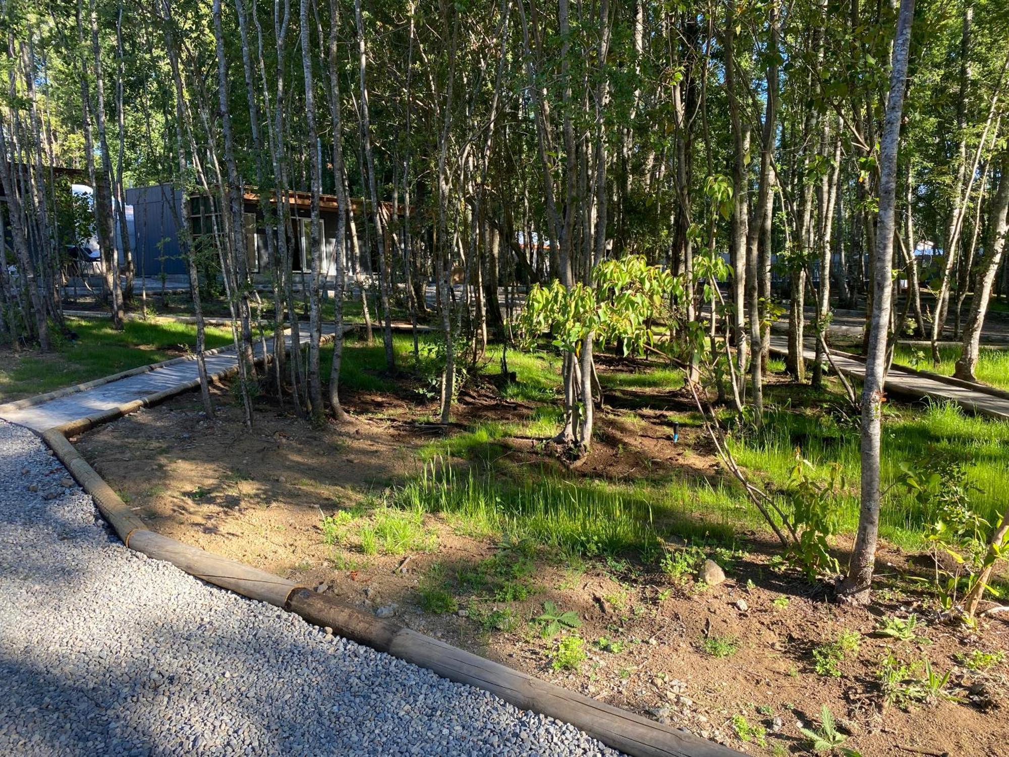 Boker Tov Pucon Hotel Eksteriør billede