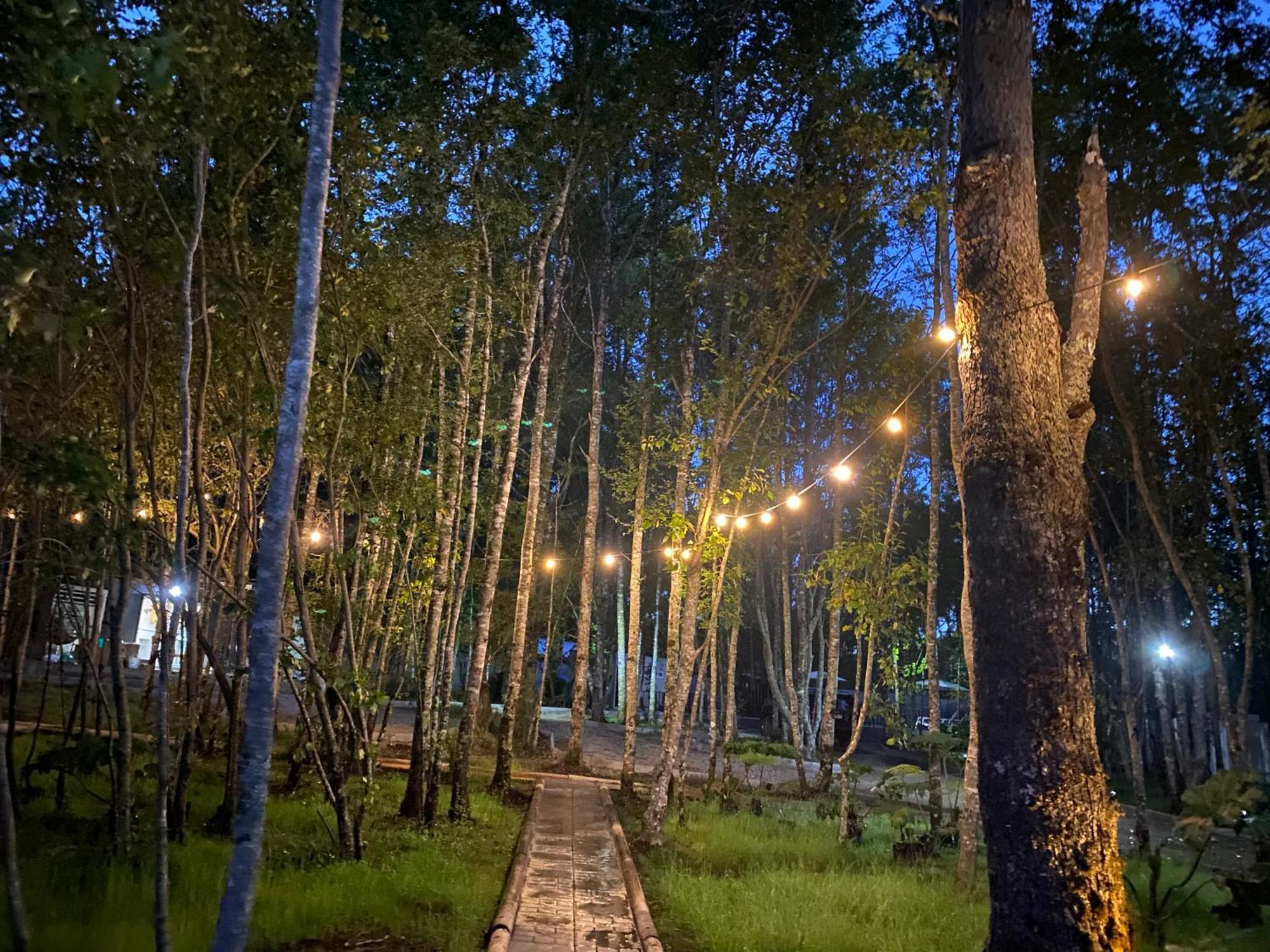 Boker Tov Pucon Hotel Eksteriør billede