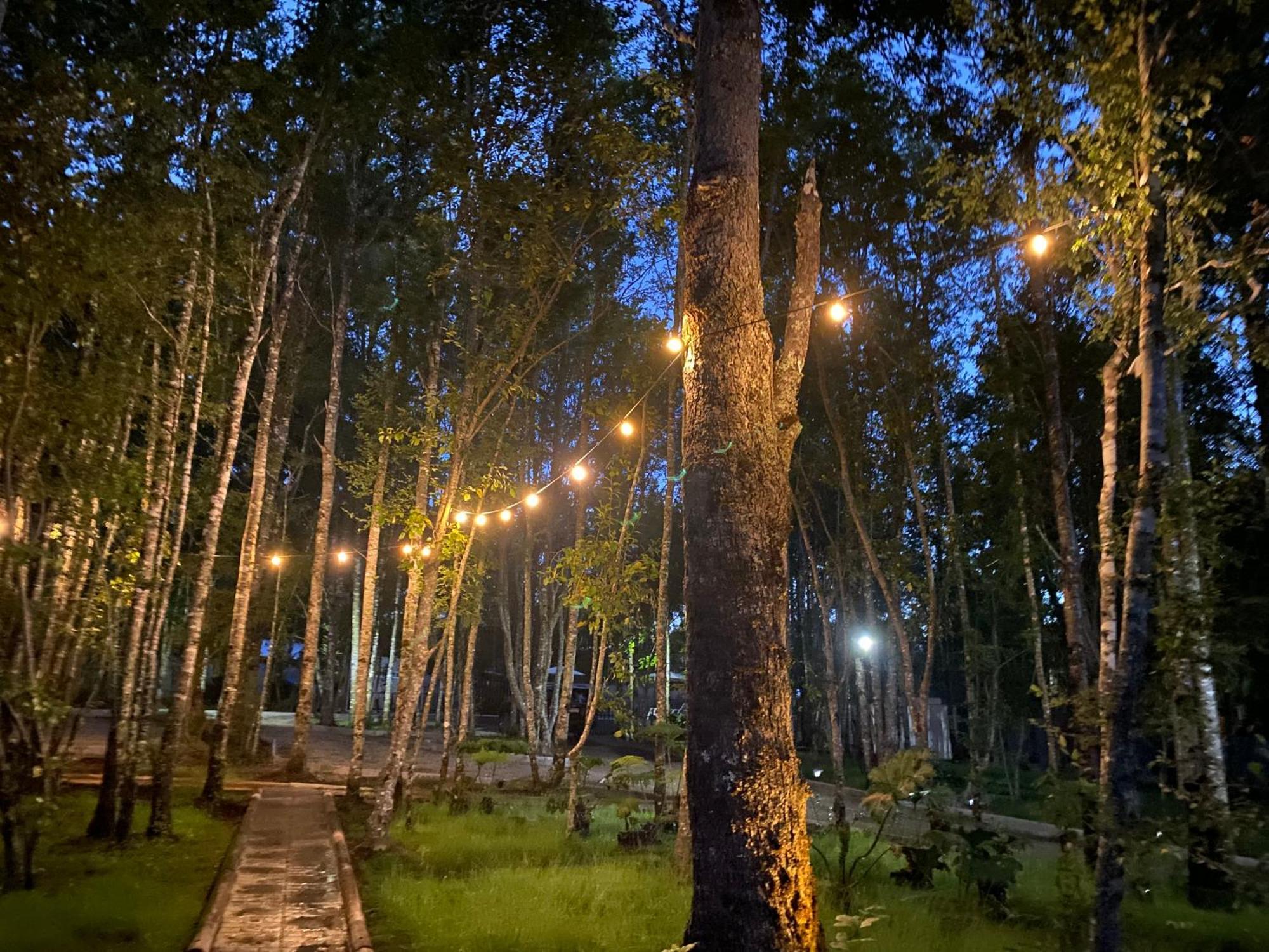 Boker Tov Pucon Hotel Eksteriør billede