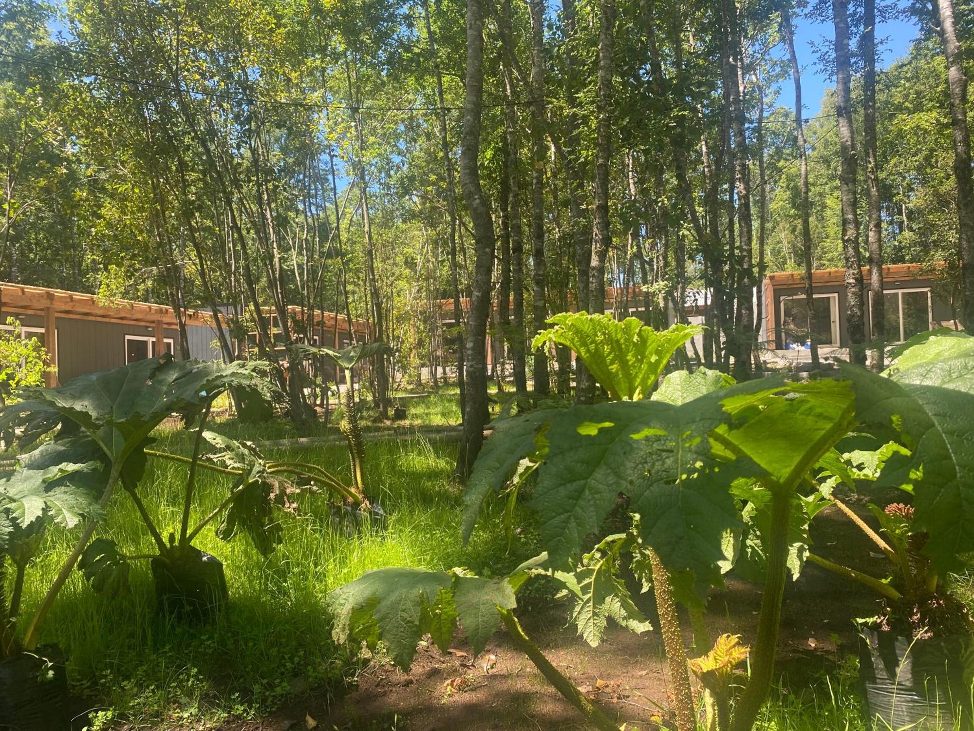 Boker Tov Pucon Hotel Eksteriør billede